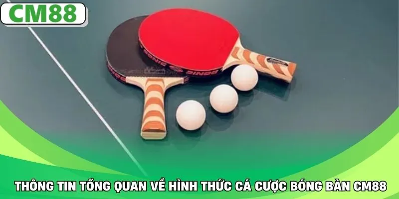 Thông tin tổng quan về hình thức cá cược bóng bàn CM88