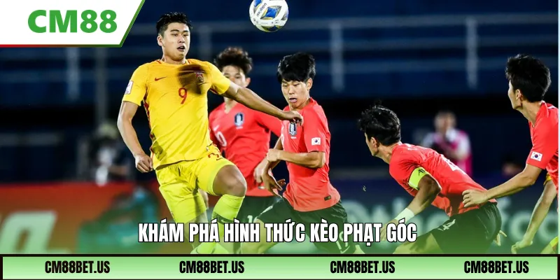 Khám phá hình thức kèo phạt góc