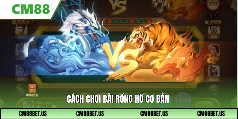 Cách chơi bài rồng hổ cơ bản